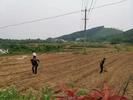 宜秀区罗岭镇妙山村：产业发展助振兴