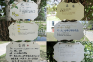 安慶師大學子為校園植物制作“身份證”