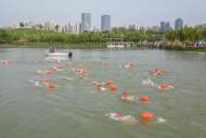 合肥都市圈巢湖賽游泳