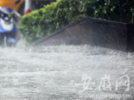 清明假期合肥天气如何？ ​​​