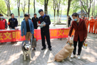 合肥高新区：“宠”爱有方！引领文明养犬新风尚             