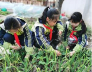 解放二路小學開展 “清理垃圾，你我同行”系列環保教育活動
