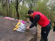 懷寧縣江鎮鎮：清明祭英烈 鮮花敬忠魂