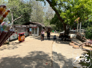 問計大蜀山 | 市民建議打造標志性景觀 增設櫻花大道和楓林大道