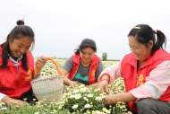 濉溪縣四鋪鎮(zhèn)：落穩(wěn)“三子”，美麗鄉(xiāng)村煥新顏     