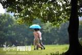 继续升温！4月16-18日合肥最高气温可达33℃