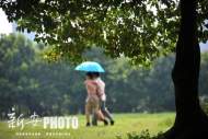 繼續升溫！4月16-18日合肥最高氣溫可達33℃