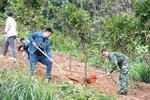 蚌埠77个义务植树尽责点 等您来播撒绿色