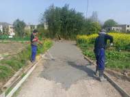 宜秀區白澤湖鄉獨秀社區：通暢鄉間道路，為鄉村振興鋪路
