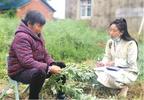 河溜镇：基层治理重心前移 绘就乡村振兴“美景”