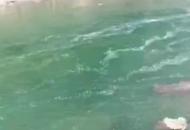 貴州2名教師河道撿鵝卵石 遇上游水電站放水 被卷走溺亡 當地已成立聯合調查組