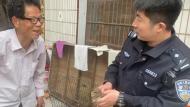 界首一只貓頭鷹飛到居民家中掉進水缸 民警救助