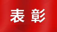 省級表彰！巢湖市一人一集體上榜