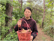 懷寧馬廟鎮：鄉間生態佳 品嘗好美味