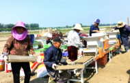 河溜鎮：水稻育秧“印刷機”播種水稻好“豐景”