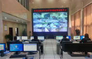 肥西縣：“五一”假期城市管理服務保障有力