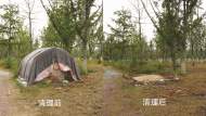 淮南市對銀杏林公園及其周邊環境存在的問題進行整治