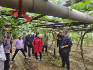 黃麓鎮：科技幫扶入果園，助農收獲致富果