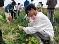 勞動鑄就新征程 ——蚌埠第三十一中學開展“五一”系列教育活動