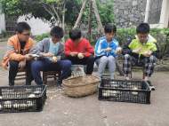 懷寧縣江鎮(zhèn)中心學(xué)校：勞動(dòng)教育開啟育人新篇章