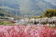 楊民生：美麗的誤會