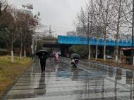 注意防范！合肥5月26日有小到中等陣雨或雷雨 