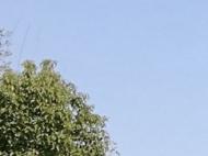 5月14-16日合肥最高氣溫32℃左右