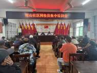 宜秀區羅嶺鎮姥山社區：網格員助力鄉村振興返貧監測幫扶集中排查工作