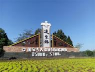 第二屆中國凌家灘文化論壇開幕