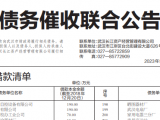 武汉财政局联合资产公司发债务催收公告​ 有知名企业、区级财政部门在名单中