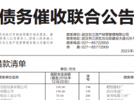 武漢財政局聯合資產公司發債務催收公告? 有知名企業、區級財政部門在名單中