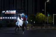 “桑酒”策馬探“冥夜” 蚌埠一女醫生街頭騎馬氛圍感拉滿 “想為宣傳家鄉出一份力”