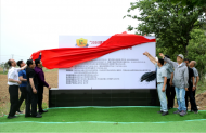 “2030健康中國”營養(yǎng)芝麻種植項目落戶懷遠白蓮坡