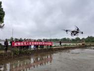 宜秀區白澤湖鄉：無人機直播送“技”于農