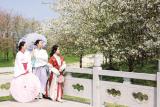 蚌埠市文化旅游美食季啟動暨垓下遺址公園開園活動拉開帷幕