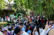 五一假期肥西縣文旅市場火爆
