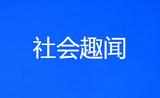 从东南亚到西伯利亚 看候鸟有多拼