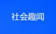 從東南亞到西伯利亞 看候鳥有多拼