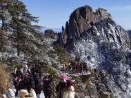 安徽黄山发布13个全球新物种