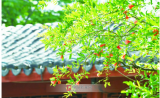 阜阳：阴雨已在路上，预防强对流天气