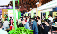 大別山優品“飛”入千家萬“滬”