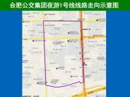 5月18日起，可乘這兩條公交線路去合肥罍街夜游