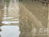 安徽省防办发布紧急通知：做好山洪地质灾害等防汛薄弱环节防范工作