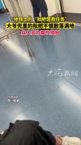 地铁上的“枇杷营救任务”！乘客合力帮忙捡起大爷散落一地的枇杷 网友：陌生人的温暖和善意充满整个车厢！