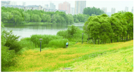 阜陽(yáng)：5月30日起天氣好轉(zhuǎn)，抓緊做好搶收工作