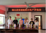 王莊鎮“三個堅持”推進“美麗庭院”創建