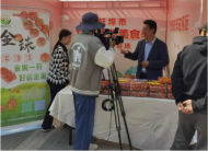 古城鎮(zhèn)草寺再添黨旗領航產(chǎn)品“金珠小番茄”