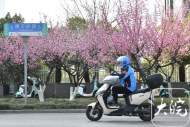 安徽發布一周天氣預報：5月7-13日以晴到多云天氣為主