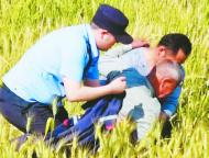 巢湖一八旬老人走失  警民聯(lián)手在麥田里找到