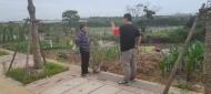 宜秀區大橋街道九塘村：不折不扣把秸稈禁燒工作落到實處  